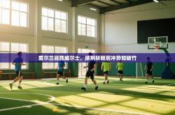 爱尔兰战胜威尔士，披荆斩棘前冲势如破竹