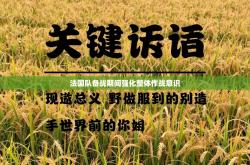 法国队备战期间强化整体作战意识