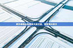 阿尔卑斯山队周末大战汉堡，双双爆冷拿分