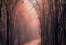 温哥华白浪体育总监：穆勒不为金钱而来；他对冠军的渴望依然强烈