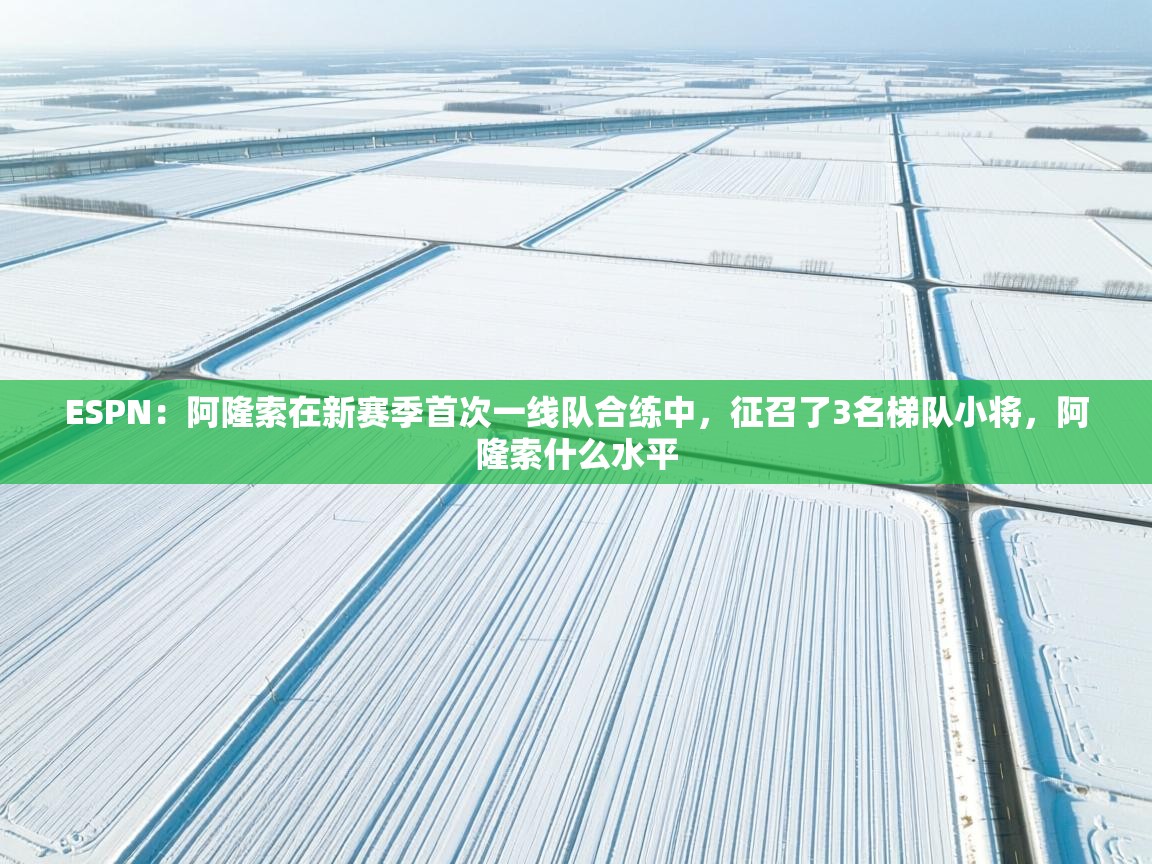 ESPN：阿隆索在新赛季首次一线队合练中，征召了3名梯队小将，阿隆索什么水平  第2张