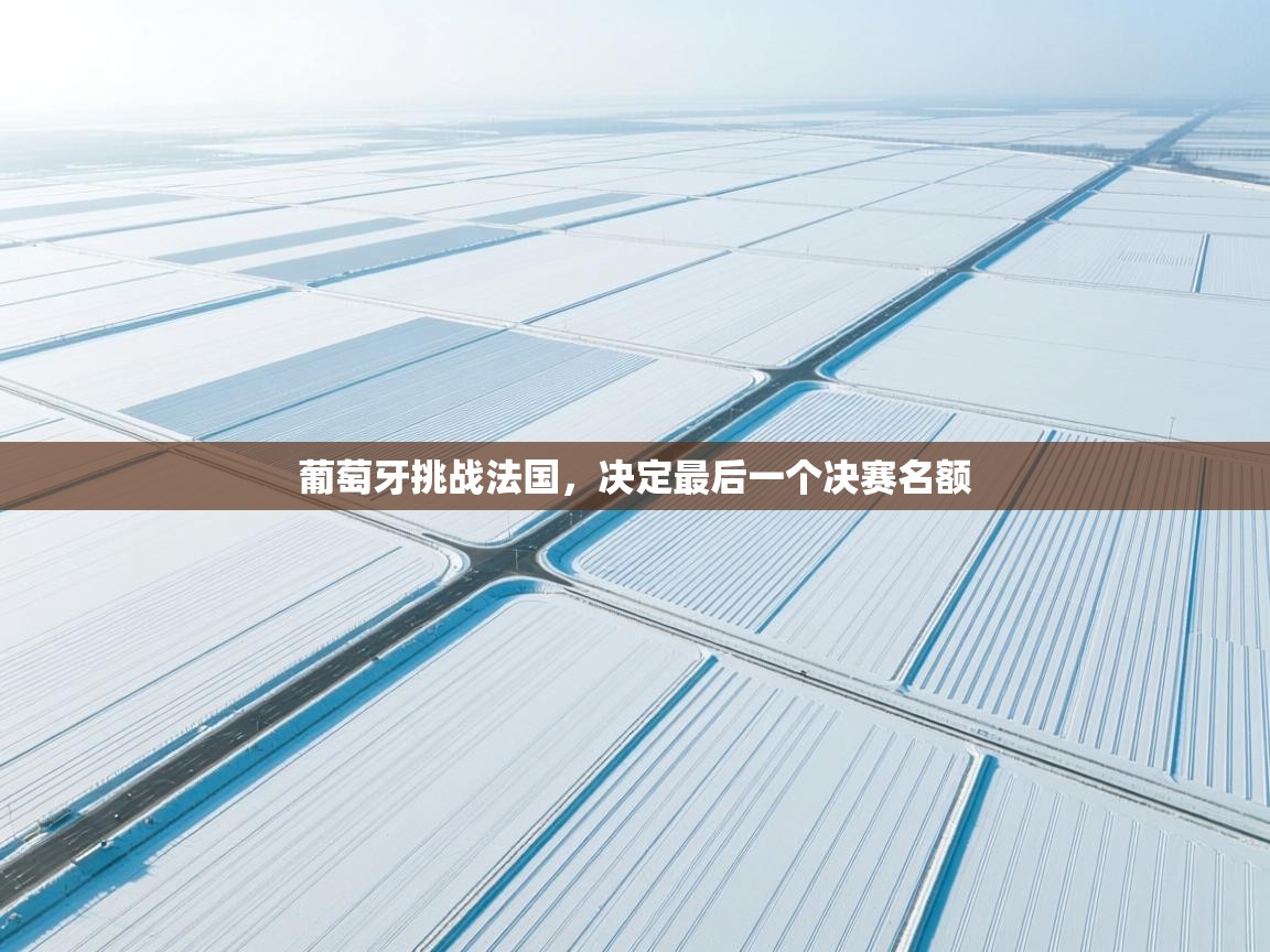 葡萄牙挑战法国，决定最后一个决赛名额  第2张