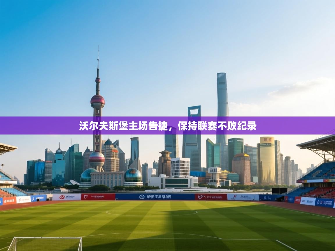 沃尔夫斯堡主场告捷，保持联赛不败纪录  第2张