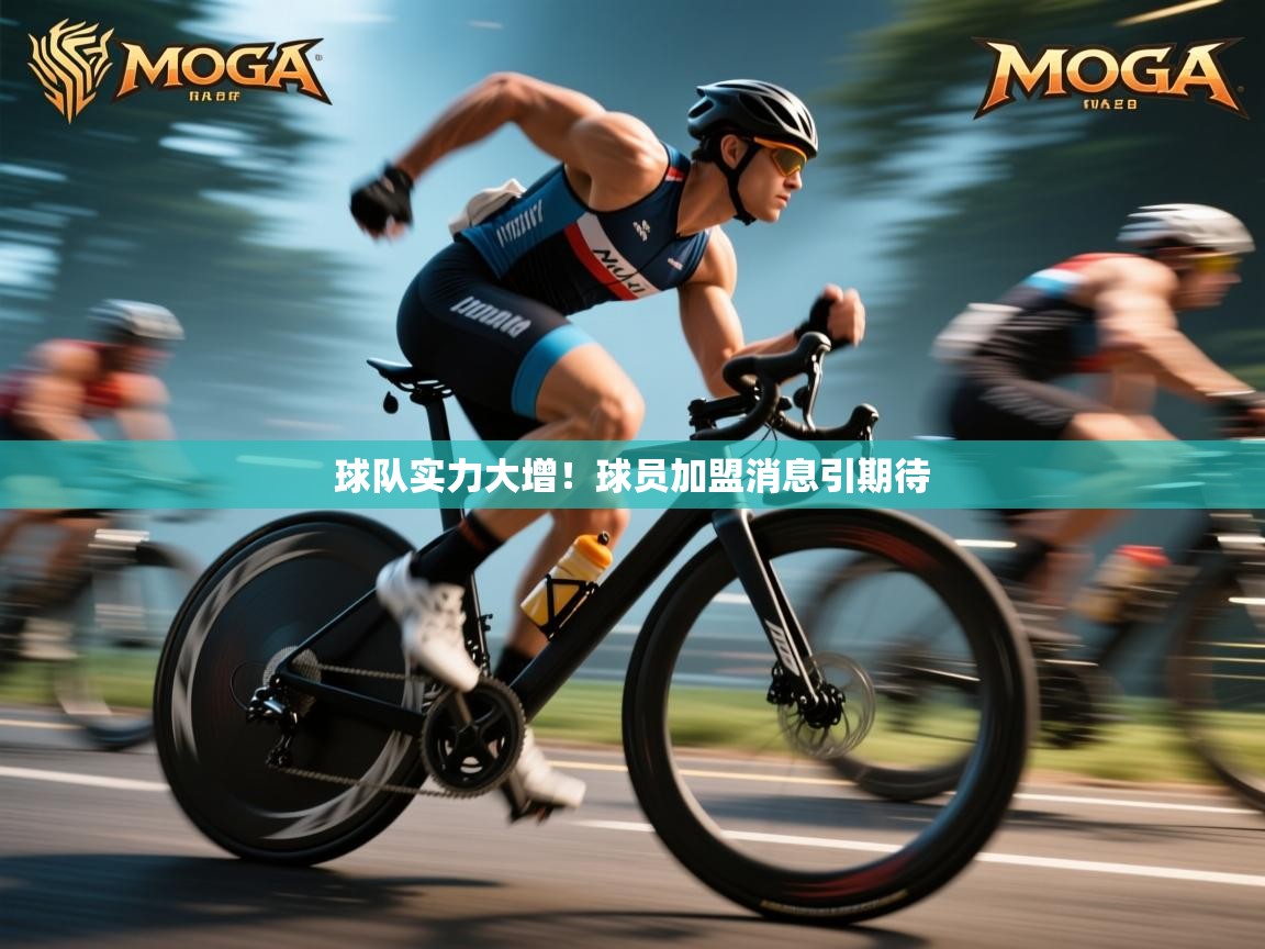 球队实力大增！球员加盟消息引期待  第2张
