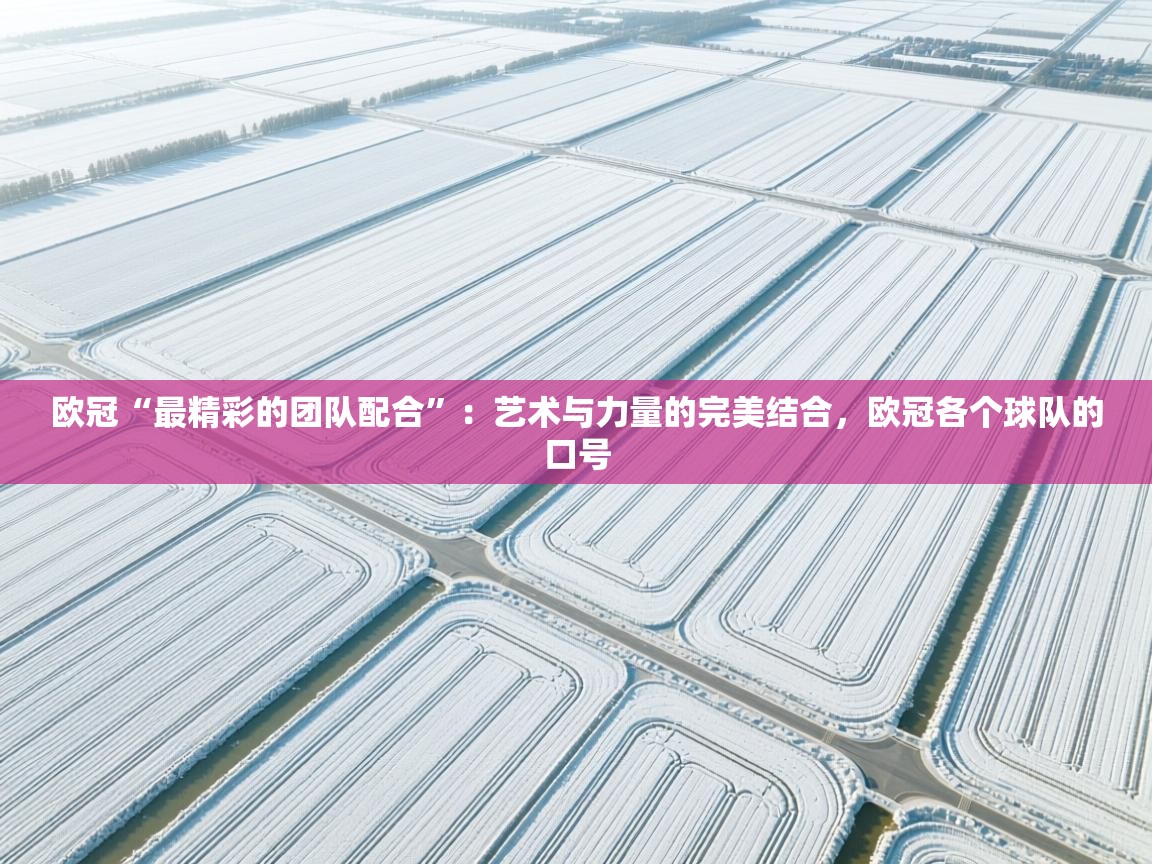 欧冠“最精彩的团队配合”：艺术与力量的完美结合，欧冠各个球队的口号  第2张